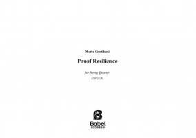 Proof resilience image
